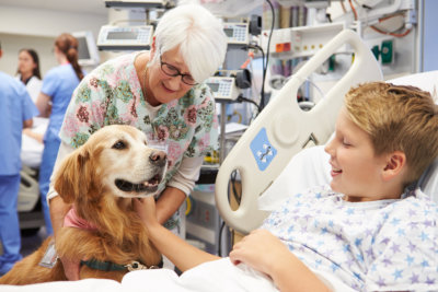 Therapy Dog Visiting Happy Young Male Patient In Hospital